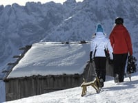 Auf die Taistner Alm