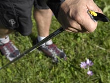 Nordic-Walking