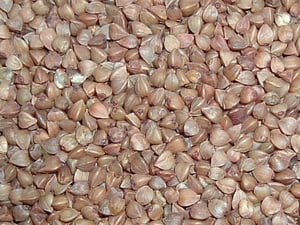 Schwarzpolentaknödel