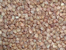 Black corn-flour dumplings