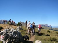 From Monte Sëura to Malga Zallinger