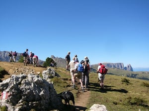 From Monte Sëura to Malga Zallinger