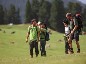Auf die Lanzwiese