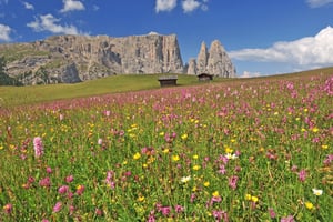 Lo Sciliar in scena