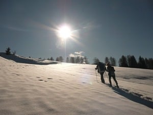 Natur mal anders erleben!