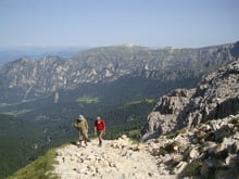 Rund um den Rosengarten