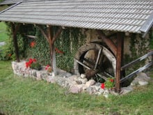 Escursione "Törggelen"