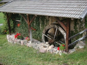 Escursione "Törggelen"