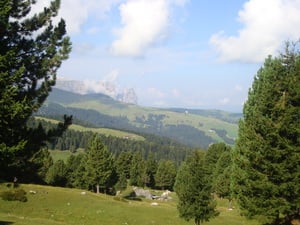 Forcella del Sasso Lungo e Sentiero Federico Augusto