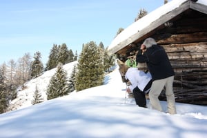 "Chamois safari" with snow shoes on the Alpe di Siusi