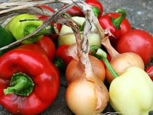 From the Vegetable Garden