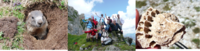 Wanderung auf die Cima Toac