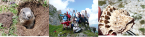 Wanderung auf die Cima Toac