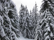 Schneeschuhwanderung auf die Rodenecker Alm
