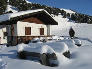 Novità questa settimana: passeggiata per la malga dei vitelli