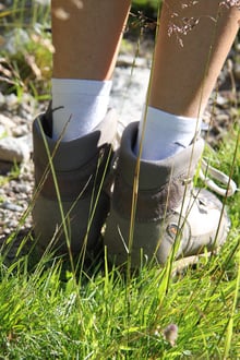 Erste Morgenwanderung