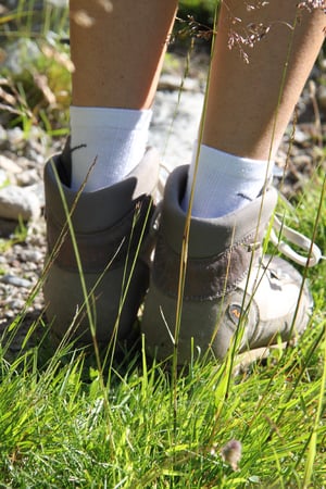 Erste Morgenwanderung