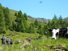 Un pranzo solo per i nostri camminatori diligenti