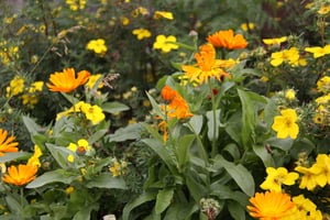 Leichte Bergwanderung
