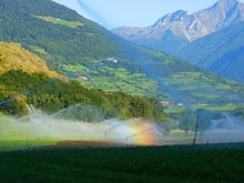 Radln durch die Obstplantagen