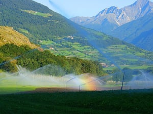 Radln durch die Obstplantagen