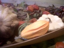 Der bunte Herbst