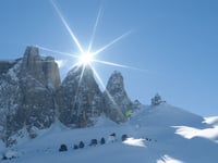Sportlich Vital durch den Winterwald!