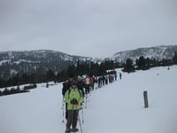 Ein Drittel bei Schneeschuhwanderung dabei