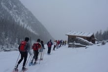 Schneeschuhwanderung mit Atempower