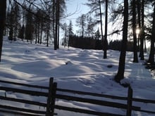 Magische Wälder und sonnige Wiesen
