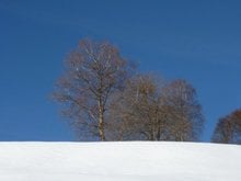 Sonniger Winter in Deutschnofen