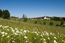 Der Frühling steht vor der Tür!