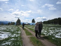 "Gegen alles ist ein Kraut gewachsen"!