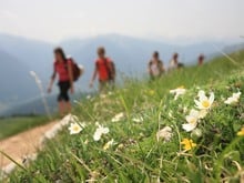 Kräuterwanderwoche im Pfösl