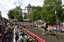 Oswald von Wolkenstein Riding Tournament