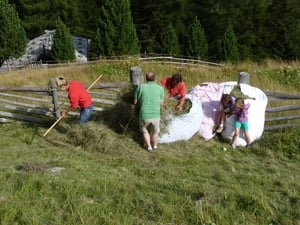 Heuernte im Klapfbergtal