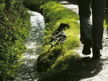 Gentle Hike, Gently Flowing Water: In Search of an Inner Voice