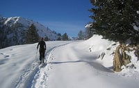 Schneeschuhwanderung über die Stolla Alm zur Plätzwiese